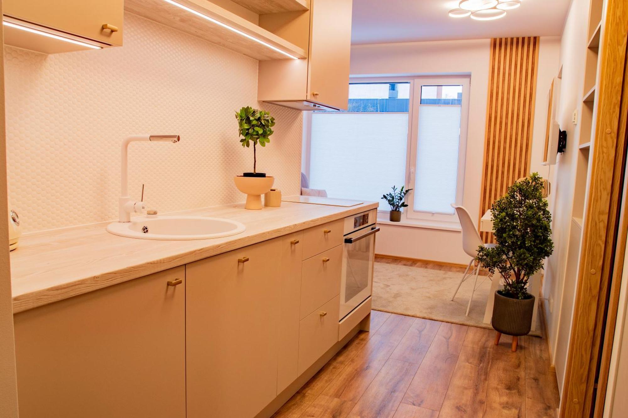 Express Premium Apartments - City Center Tartu Dış mekan fotoğraf