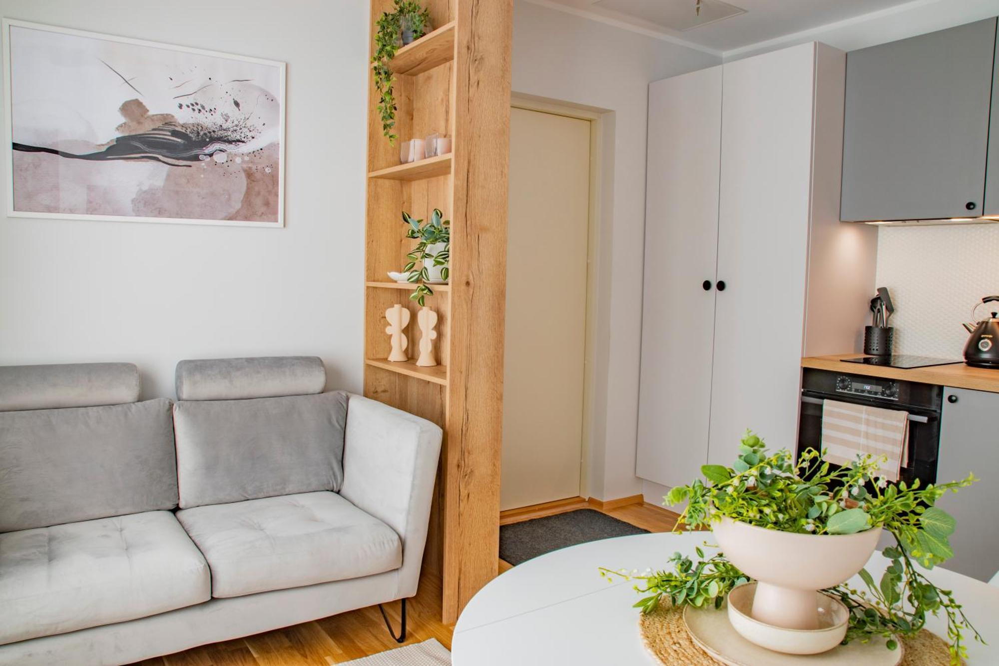 Express Premium Apartments - City Center Tartu Dış mekan fotoğraf