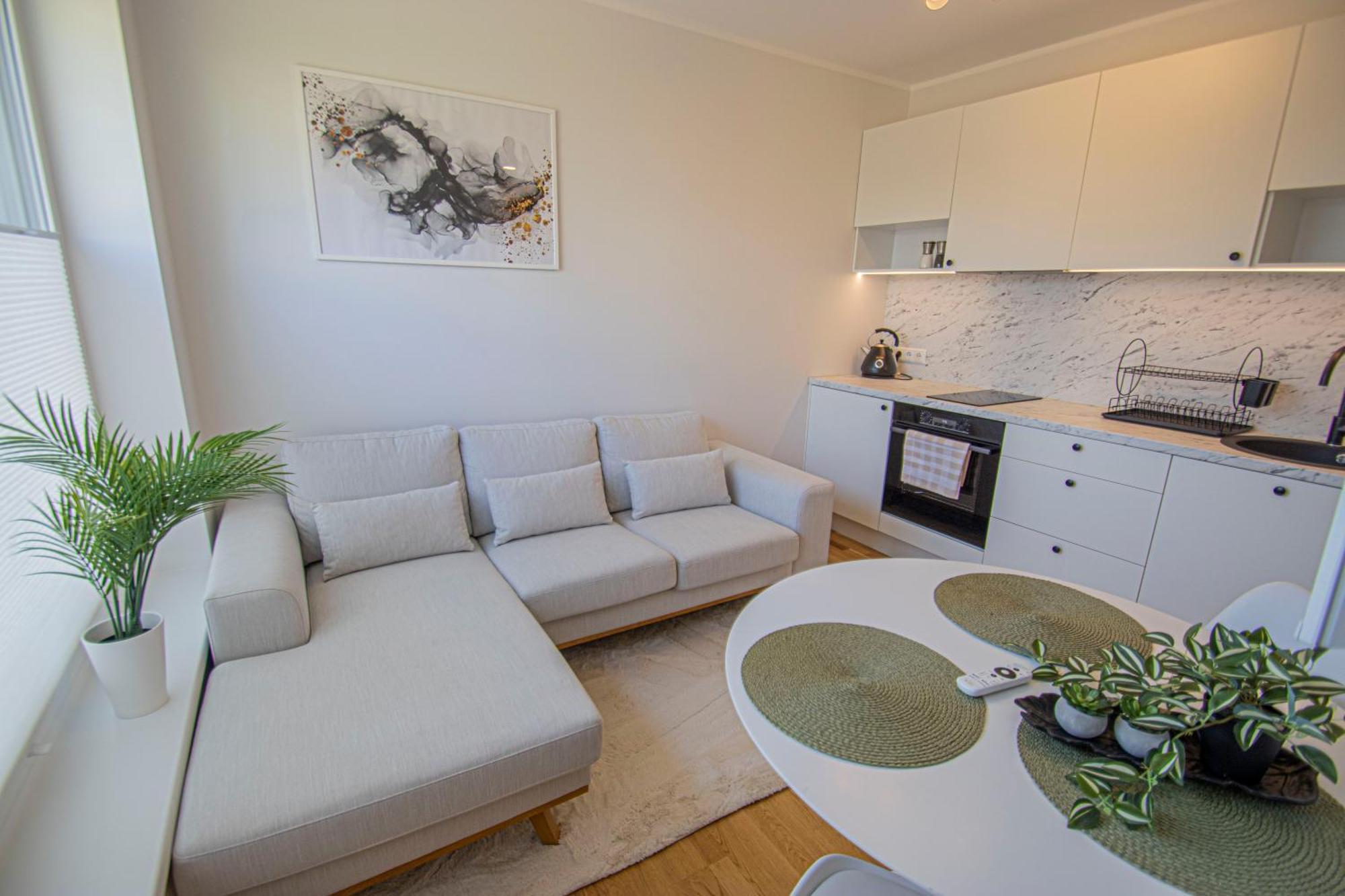 Express Premium Apartments - City Center Tartu Dış mekan fotoğraf